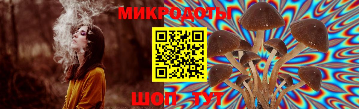 Псилоцибиновые грибы ЛСД Орёл