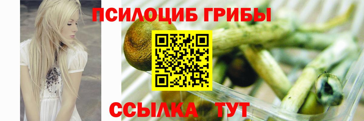 Псилоцибиновые грибы мицелий  Вход с VPN  Галлюциногенные грибы GOLDEN TEACHER  Орёл 